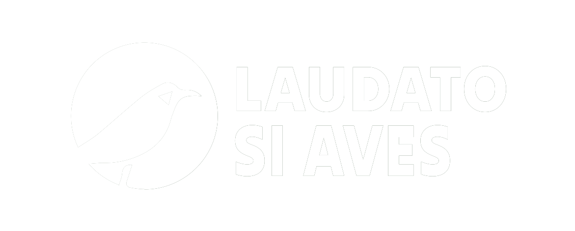LAUDATO